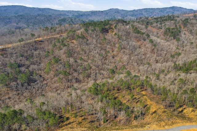 lot 239 Spear Point Dr, Talking Rock, GA 30175