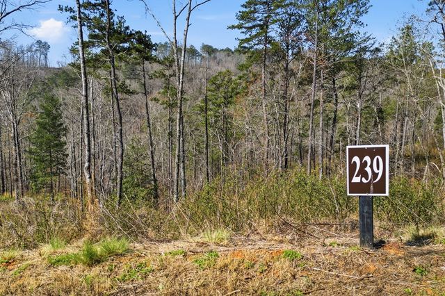lot 239 Spear Point Dr, Talking Rock, GA 30175