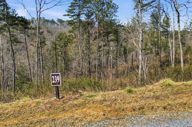 lot 239 Spear Point Dr, Talking Rock, GA 30175