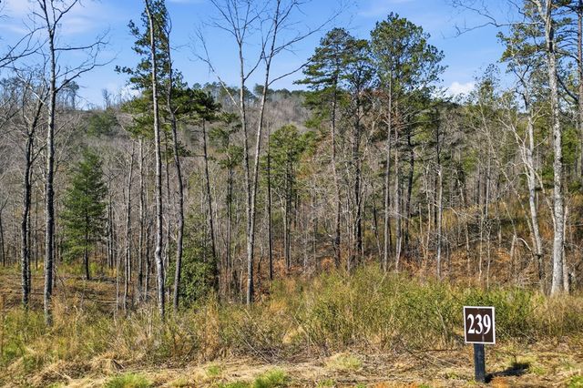 lot 239 Spear Point Dr, Talking Rock, GA 30175