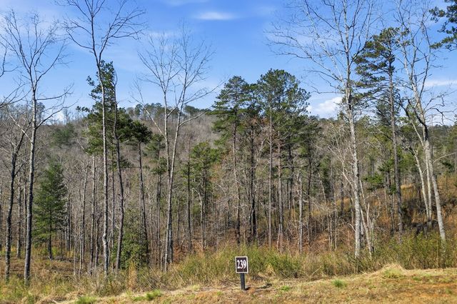 lot 239 Spear Point Dr, Talking Rock, GA 30175