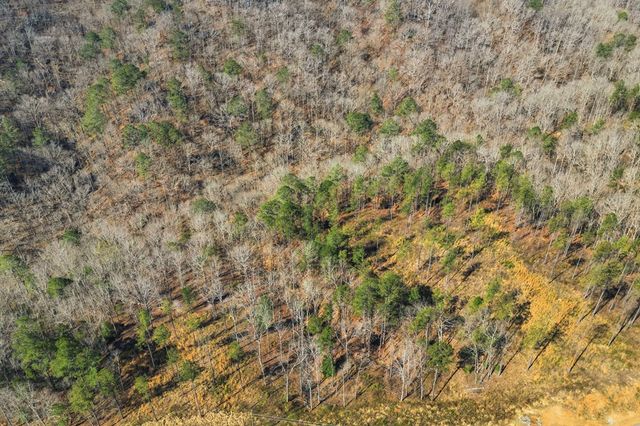 lot 239 Spear Point Dr, Talking Rock, GA 30175