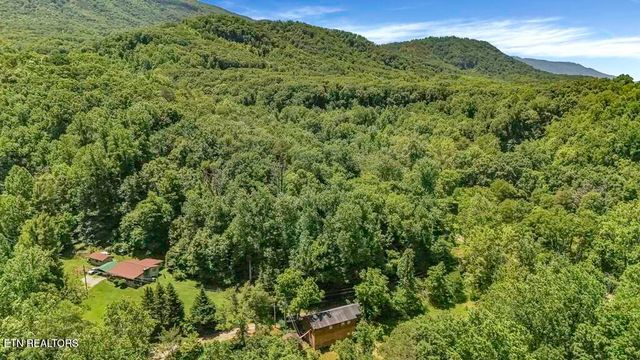 772 Goose Creek, Seymour, TN 37865