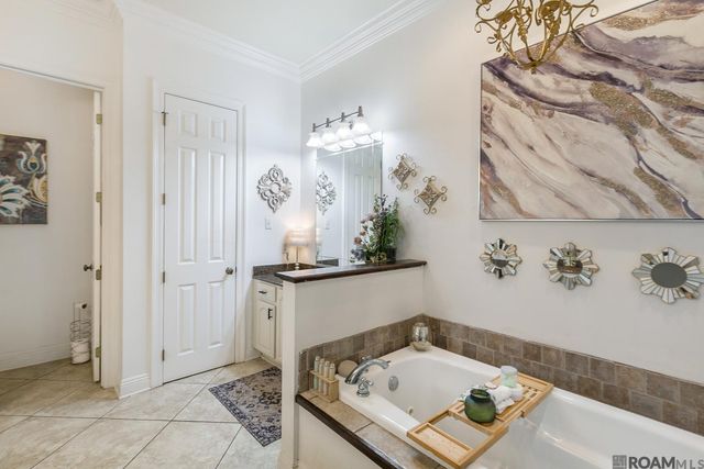 23815 Monarch Point, Springfield, LA 70462