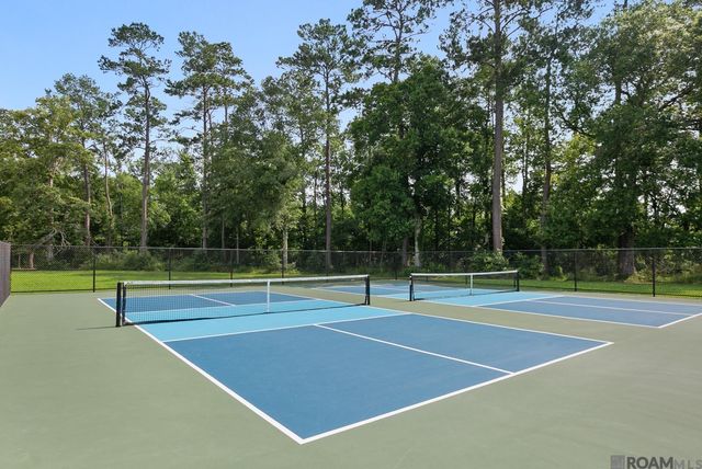 23815 Monarch Point, Springfield, LA 70462