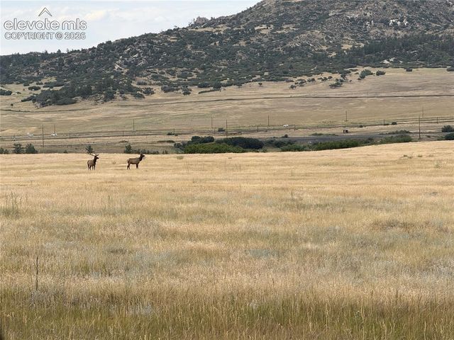 2878 Charlford Lane, Sedalia, CO 80135