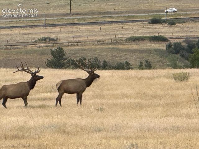 2878 Charlford Lane, Sedalia, CO 80135