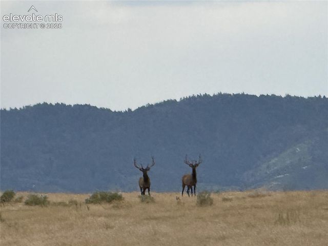 2878 Charlford Lane, Sedalia, CO 80135