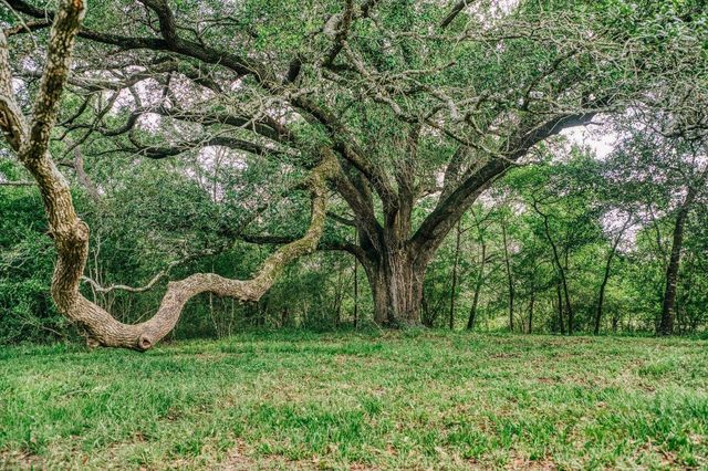 19576 Pickens Road, Washington, TX 77880