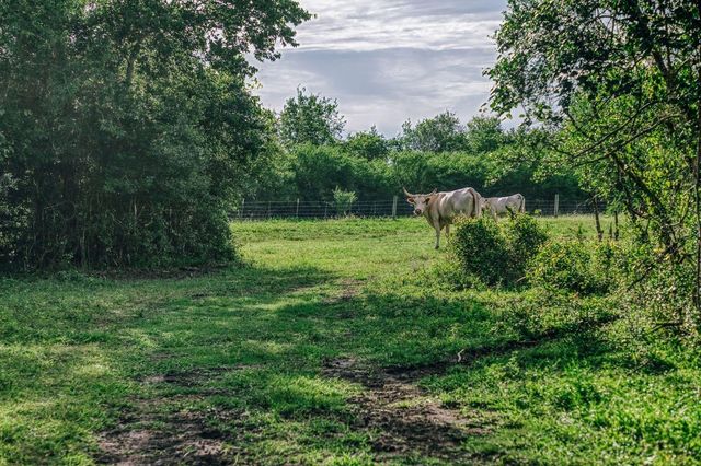 19576 Pickens Road, Washington, TX 77880
