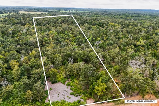 Lot 14 Fm 489, Fairfield, TX 75840