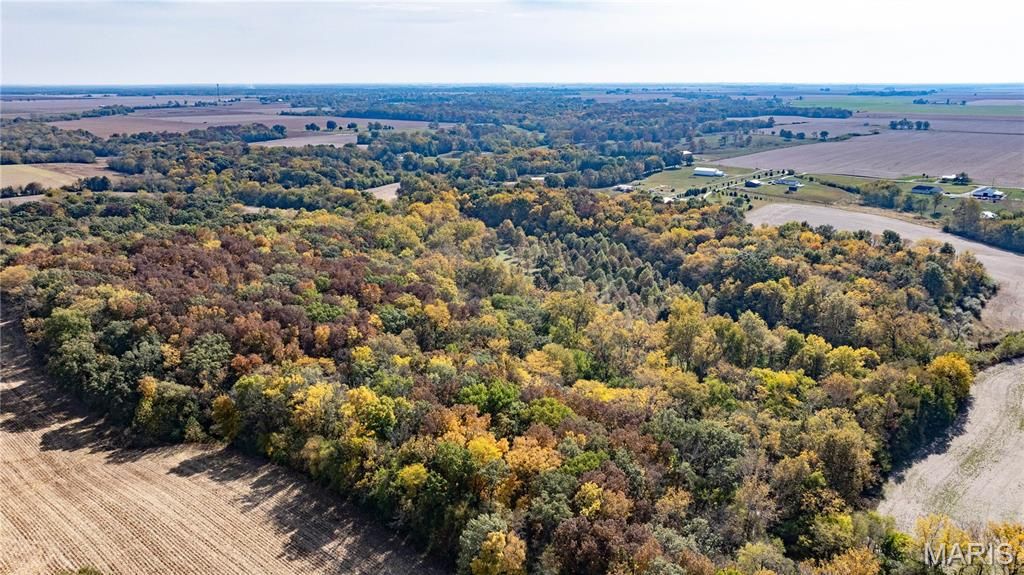 Image 11 of property listing at TBD Kane Road, Medora, IL 62063