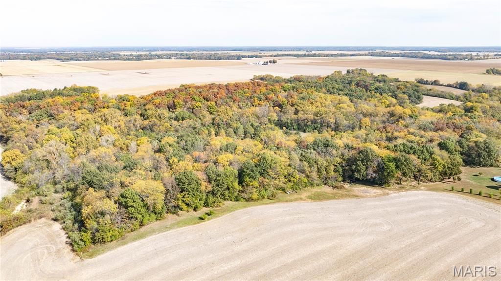 Image 3 of property listing at TBD Kane Road, Medora, IL 62063