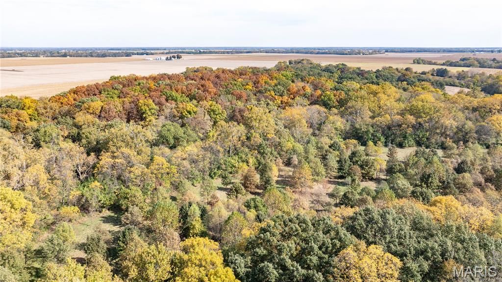 Image 4 of property listing at TBD Kane Road, Medora, IL 62063