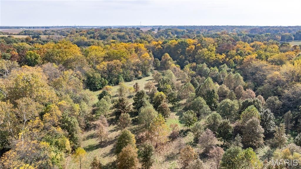 Image 5 of property listing at TBD Kane Road, Medora, IL 62063