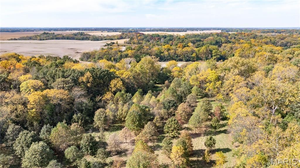 Image 6 of property listing at TBD Kane Road, Medora, IL 62063