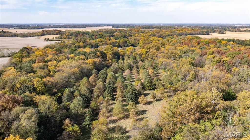 Image 7 of property listing at TBD Kane Road, Medora, IL 62063