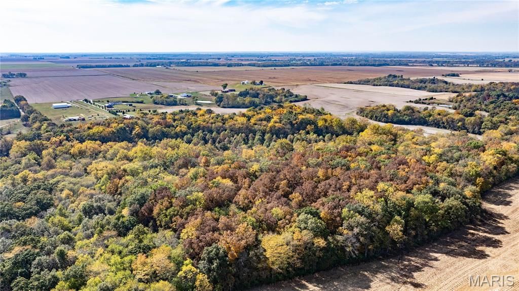 Image 9 of property listing at TBD Kane Road, Medora, IL 62063