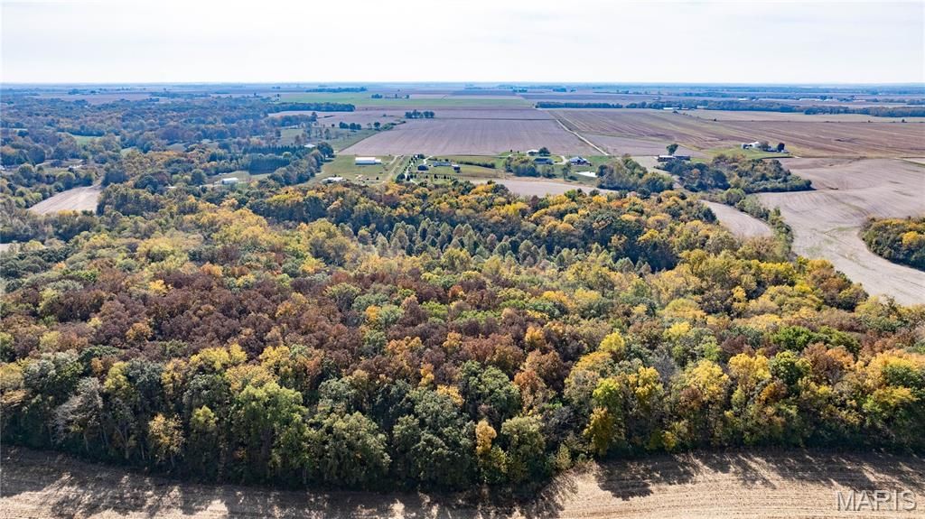 Image 10 of property listing at TBD Kane Road, Medora, IL 62063