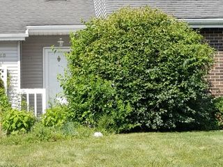 450 Tanglewood Drive, Gurnee, IL 60031