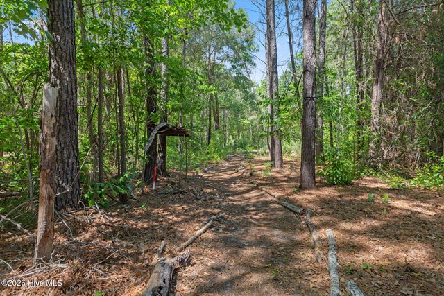 303 N Grazing Court, Sneads Ferry, NC 28460