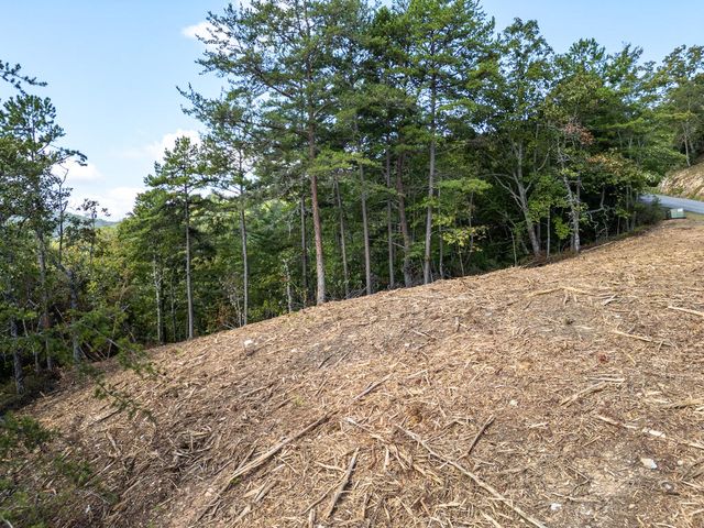 Lot 157 Crossover Lane, Murphy, NC 28906