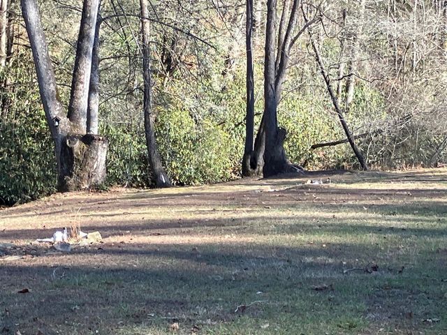 508 Ed Graves Road, Murphy, NC 28906