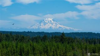 1 Lot Cascade View, Allyn, WA 98524