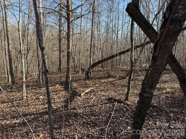 00 Valley Drive, Rutherfordton, NC 28139