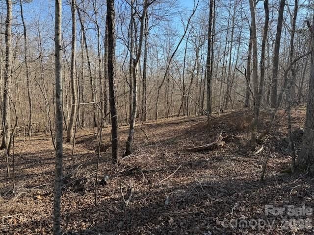 00 Valley Drive, Rutherfordton, NC 28139