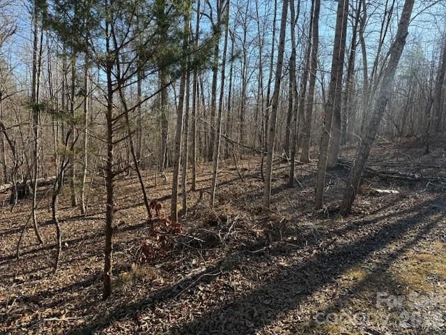 00 Valley Drive, Rutherfordton, NC 28139