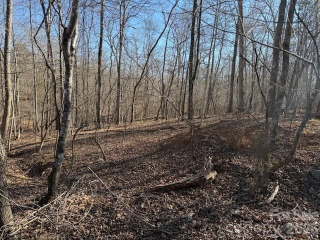 00 Valley Drive, Rutherfordton, NC 28139