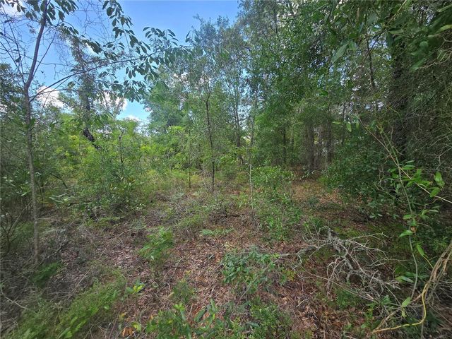 8365 N IBSEN DRIVE, Citrus Springs, FL 34433