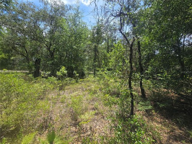 8365 N IBSEN DRIVE, Citrus Springs, FL 34433