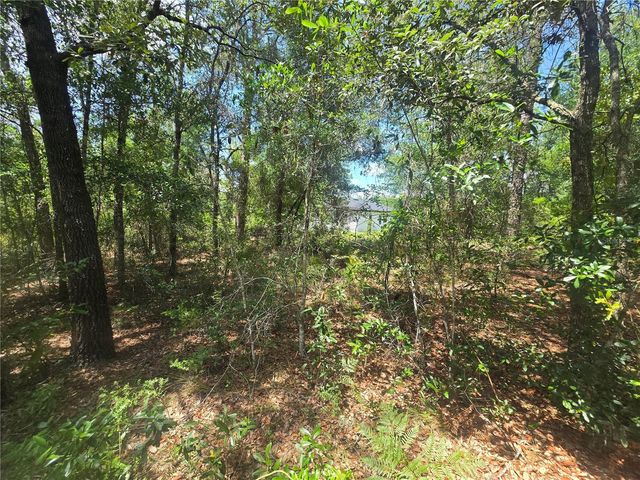 8365 N IBSEN DRIVE, Citrus Springs, FL 34433