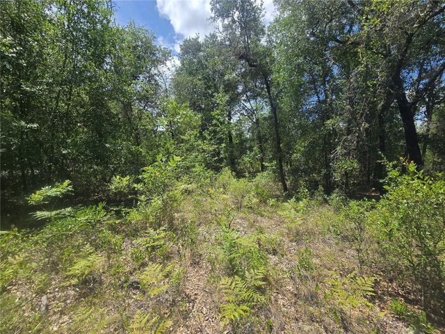 8365 N IBSEN DRIVE, Citrus Springs, FL 34433