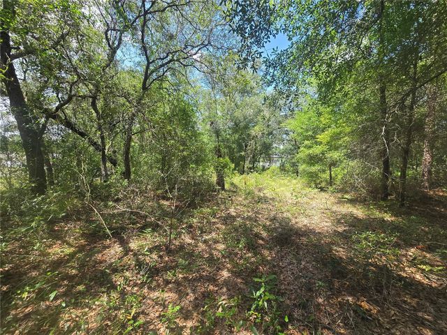 8365 N IBSEN DRIVE, Citrus Springs, FL 34433