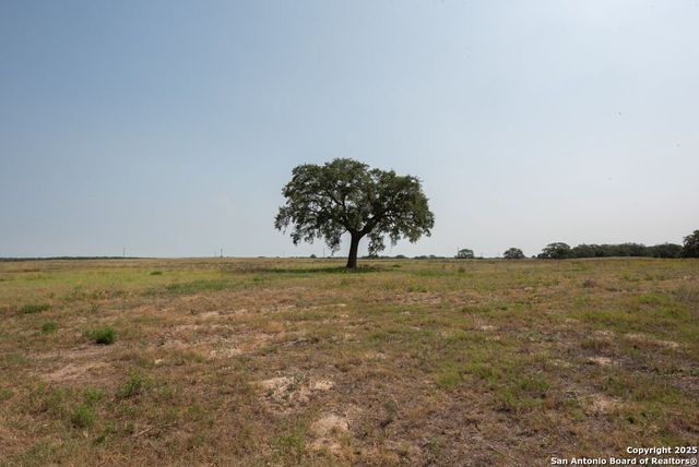 1003 County Road 334, Stockdale, TX 78160