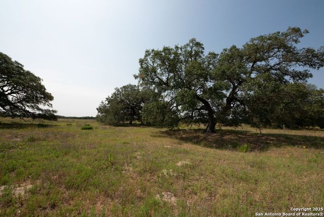 1003 County Road 334, Stockdale, TX 78160