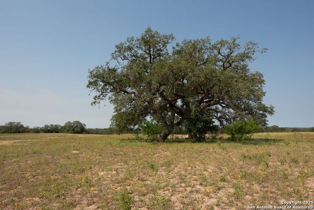 1003 County Road 334, Stockdale, TX 78160