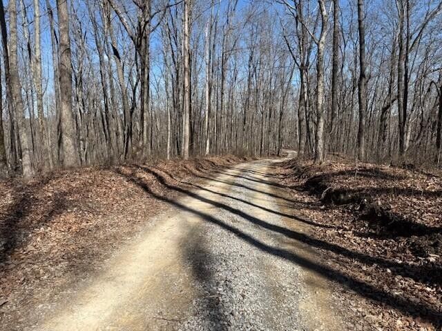 71 Sunbeam Lake Loop Road, Dunlap, TN 37327