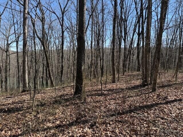 71 Sunbeam Lake Loop Road, Dunlap, TN 37327