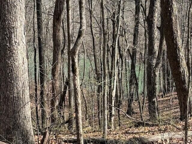 71 Sunbeam Lake Loop Road, Dunlap, TN 37327