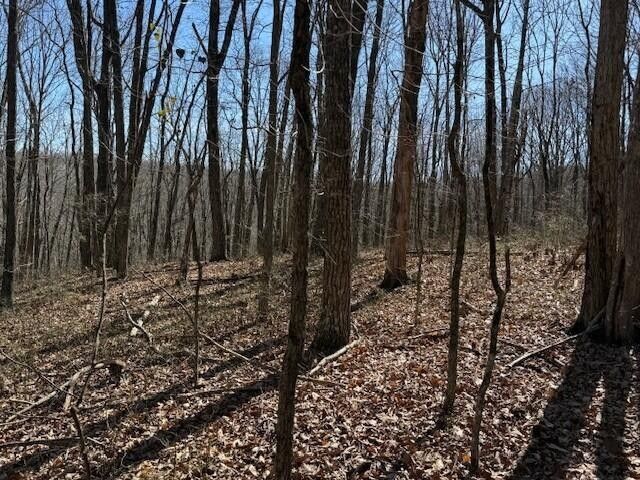 71 Sunbeam Lake Loop Road, Dunlap, TN 37327
