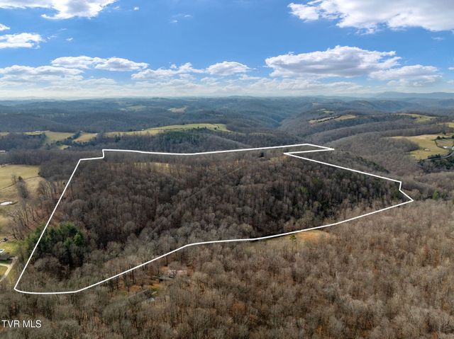 393 Holt Ridge Road, Tazewell, TN 37879