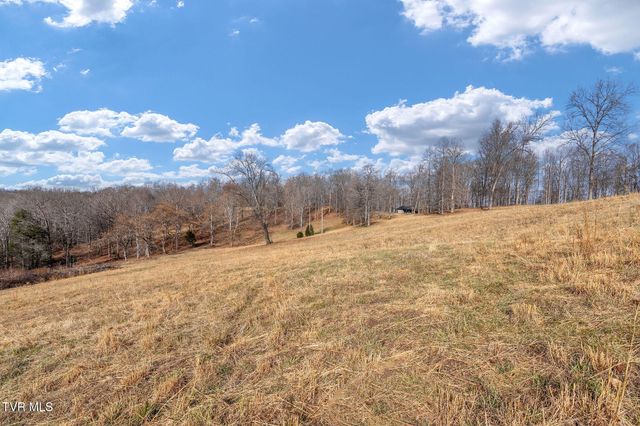 393 Holt Ridge Road, Tazewell, TN 37879