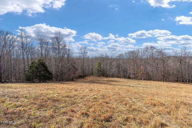 393 Holt Ridge Road, Tazewell, TN 37879