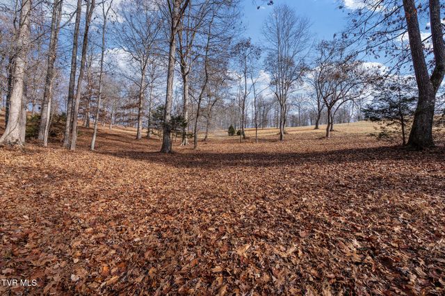 393 Holt Ridge Road, Tazewell, TN 37879