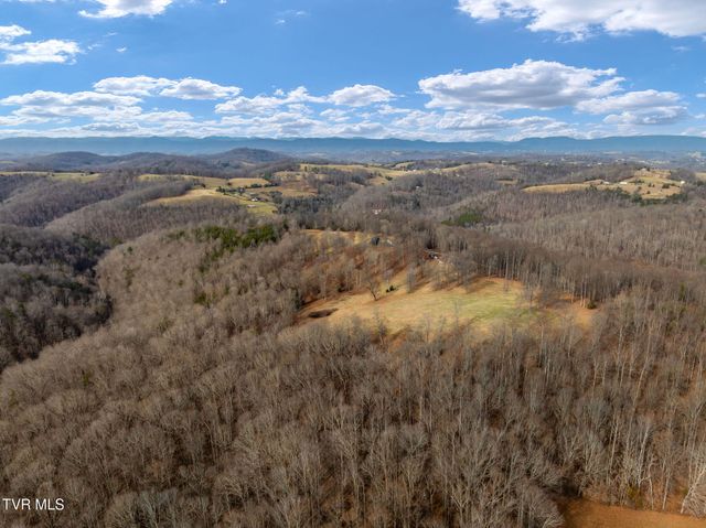 393 Holt Ridge Road, Tazewell, TN 37879