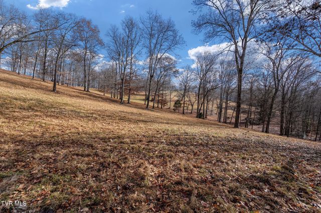 393 Holt Ridge Road, Tazewell, TN 37879